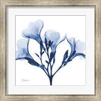 Framed Indigo Oleander