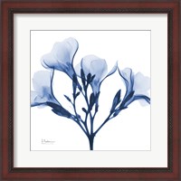 Framed Indigo Oleander