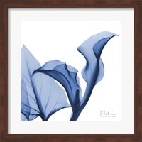 Framed Indigo Calla Love