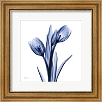 Framed Enchanted Indigo Tulips