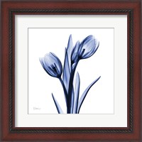 Framed Enchanted Indigo Tulips