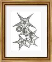 Framed Starfish Bunch F149