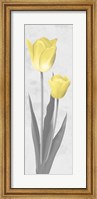 Framed Shinning Bloom 2