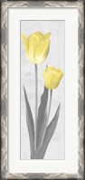 Framed Shinning Bloom 2