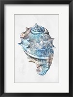 Urban Sea Shell 2 Framed Print