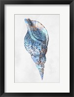 Urban Sea Shell 3 Framed Print