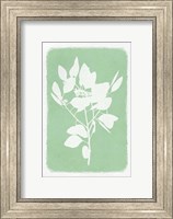 Framed Soft Botanical Feelings 1