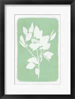 Framed Soft Botanical Feelings 1