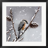 Framed Snow Bird