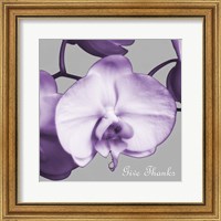 Framed Thankful Orchids