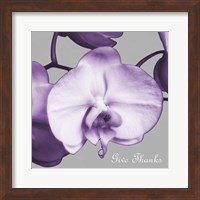 Framed Thankful Orchids