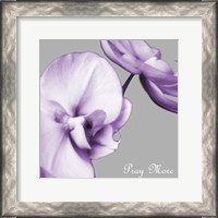Framed Praying Orchids