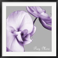 Framed Praying Orchids