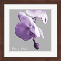 Framed Godly Good Orchids