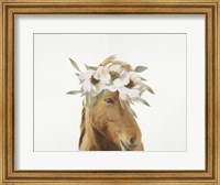Framed Floral Horse