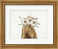 Framed Floral Horse