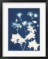 Framed Alpine Flower V