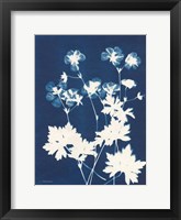 Alpine Flower V Framed Print