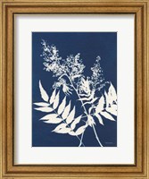 Framed Alpine Flower III