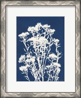 Framed Alpine Flower II