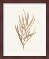 Framed Leaf and Stem VII