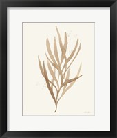 Leaf and Stem VII Framed Print