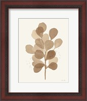 Framed Leaf and Stem V