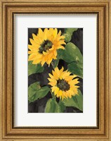 Framed Sunny Blooms on Black