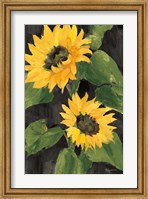 Framed Sunny Blooms on Black
