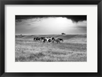 Framed Sunset Rains