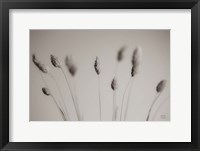 Framed Natural Grasses