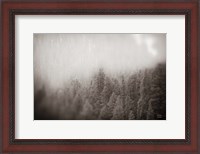 Framed Northern Forests BW