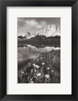 Framed Pronghorn and Dragon Head Peaks BW