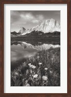 Framed Pronghorn and Dragon Head Peaks BW