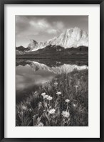 Framed Pronghorn and Dragon Head Peaks BW