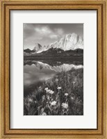 Framed Pronghorn and Dragon Head Peaks BW