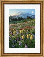 Framed Paradise Wildflower Meadows II