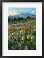 Framed Paradise Wildflower Meadows II