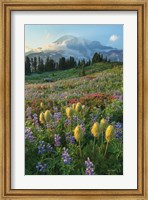 Framed Paradise Wildflower Meadows II