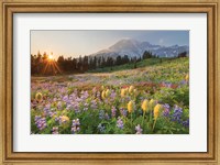 Framed Paradise Wildflower Meadows I