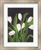 Framed White Tulips on Black (1)