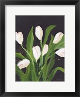 Framed White Tulips on Black (1)