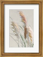 Framed Neutral Pampas Grasses II