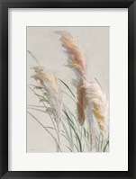 Framed Neutral Pampas Grasses II