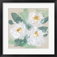 Framed Peonies on Cream II