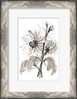 Framed Ink Sunflower I