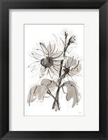 Framed Ink Sunflower I