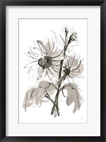 Framed Ink Sunflower I