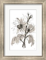 Framed Ink Sunflower I