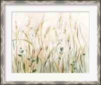 Framed In the Meadow